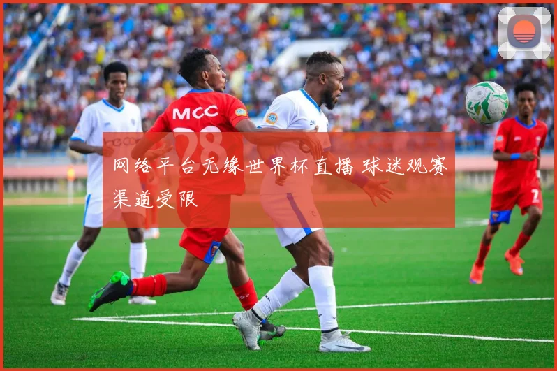 网络平台无缘世界杯直播 球迷观赛渠道受限