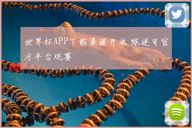 世界杯APP下载渠道开放 球迷可官方平台观赛